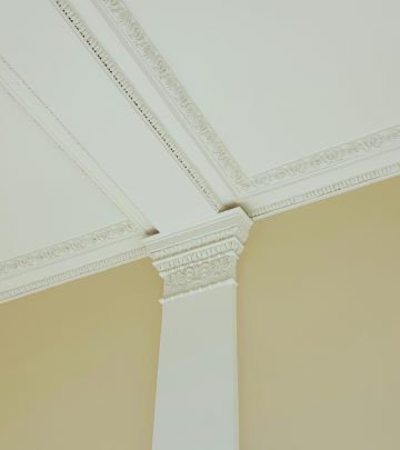 mould
