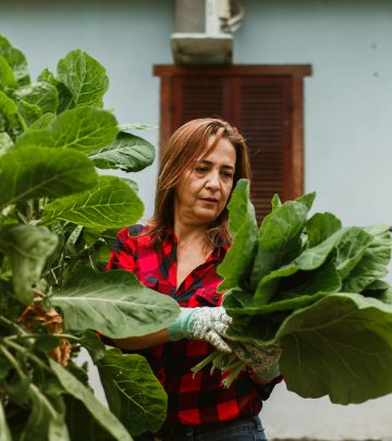 pexels-helenalopes-27177502
