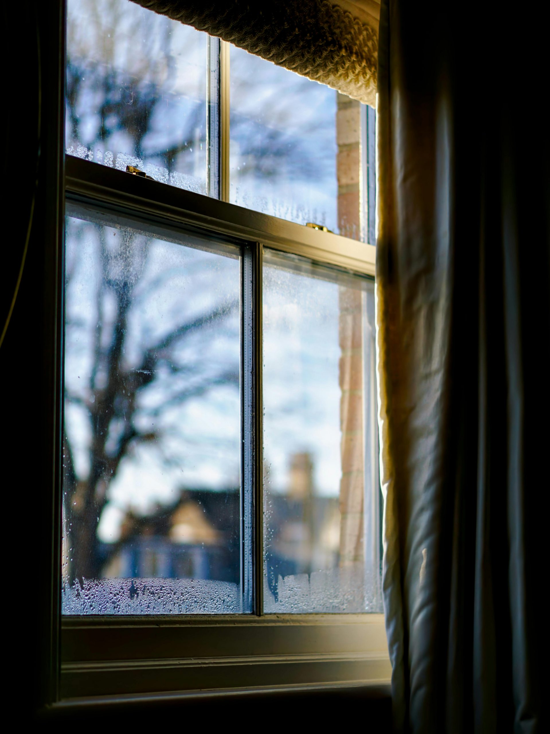 pexels-peter-morch-2157759396-35369320