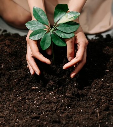 soil