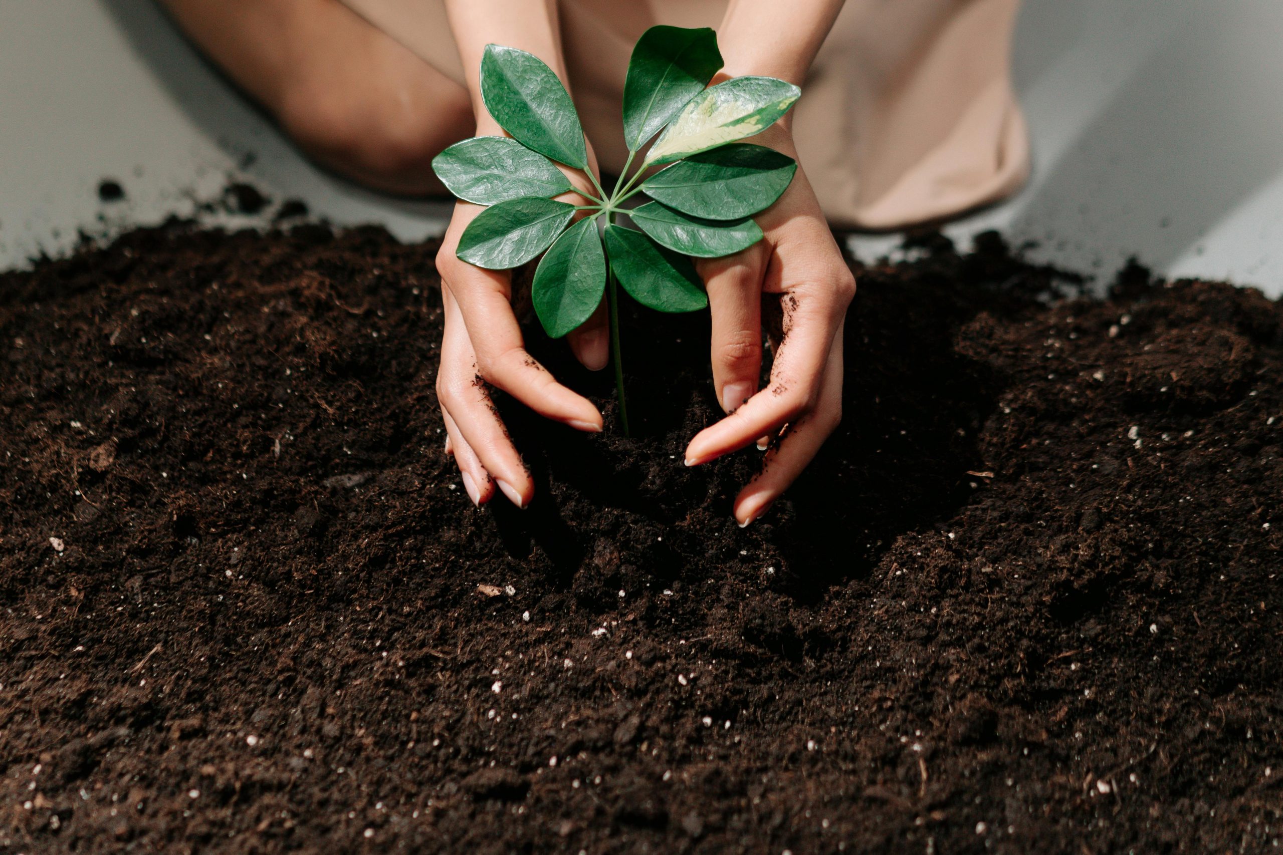 The ultimate guide to clay, sandy and loamy soil | SA Garden and Home