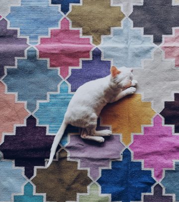 rugs
