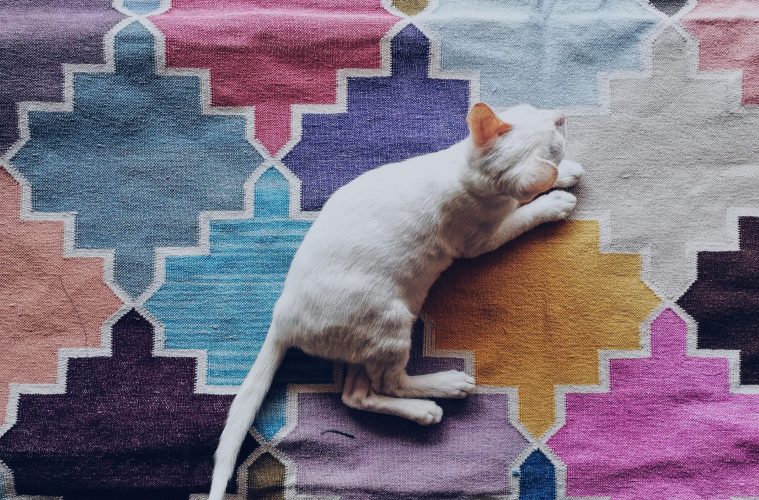 rugs
