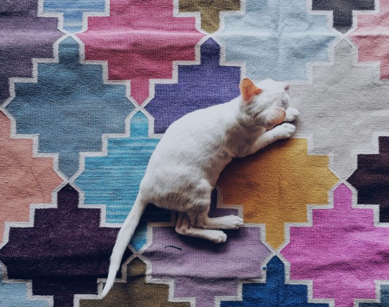 rugs