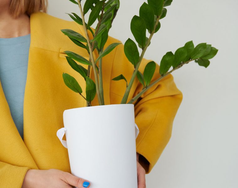 low-humidity