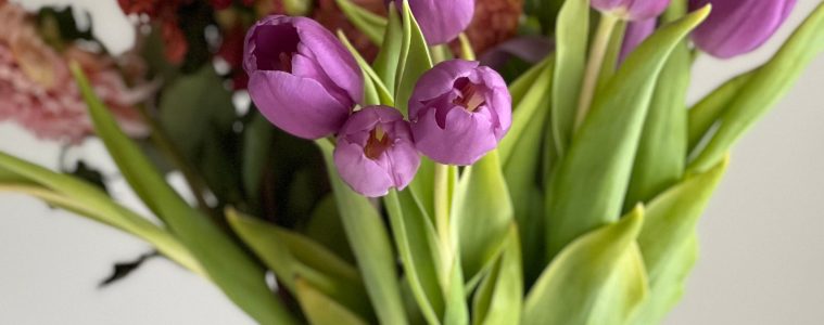 fresh-cut flowers
