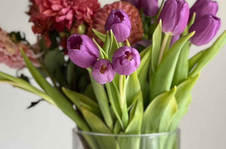 fresh-cut flowers