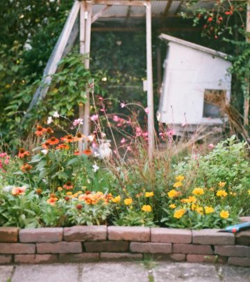 chaos gardening