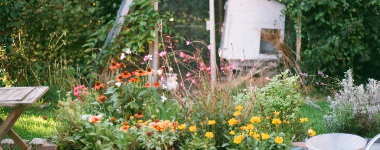 chaos gardening