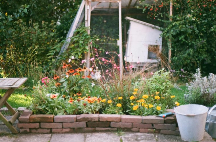 chaos gardening