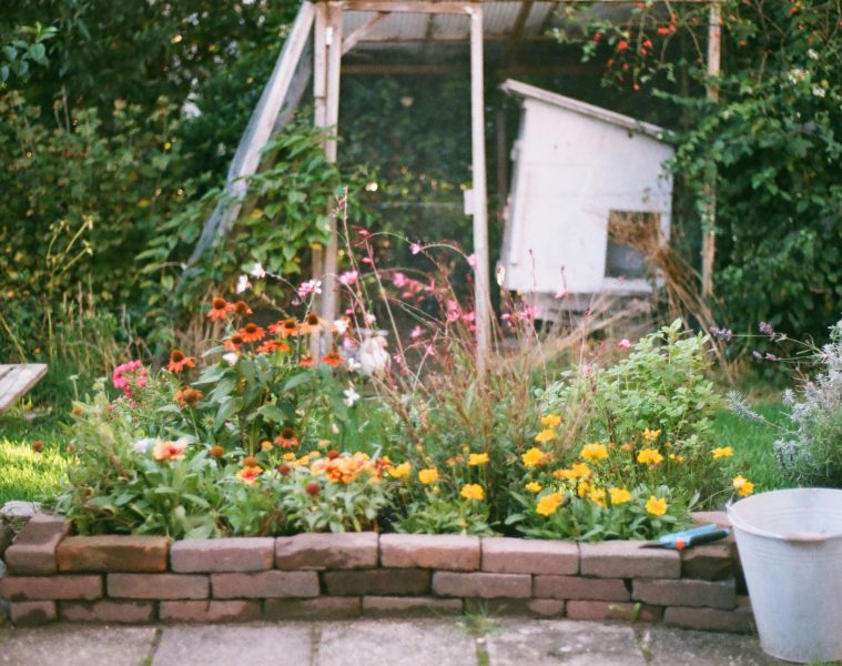 chaos gardening