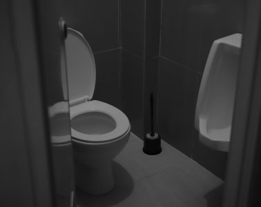 toilet brush