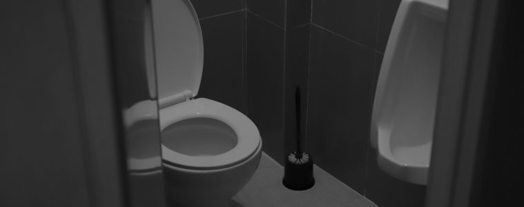 toilet brush
