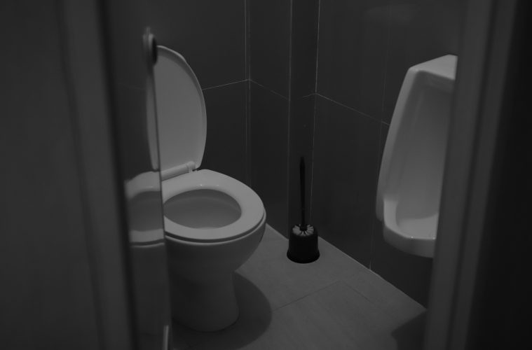 toilet brush
