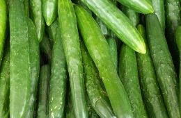 cucumber