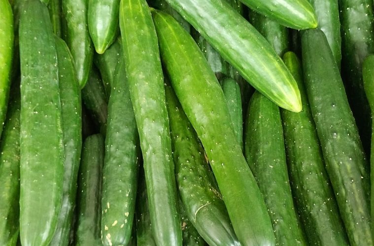 cucumber