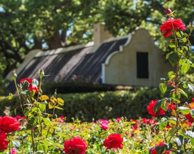 GARDENS