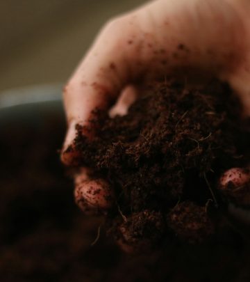 soil fertility