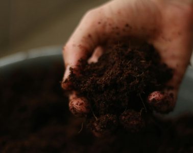 soil fertility