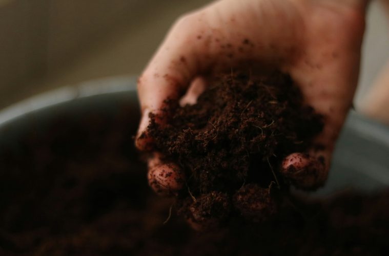 soil fertility