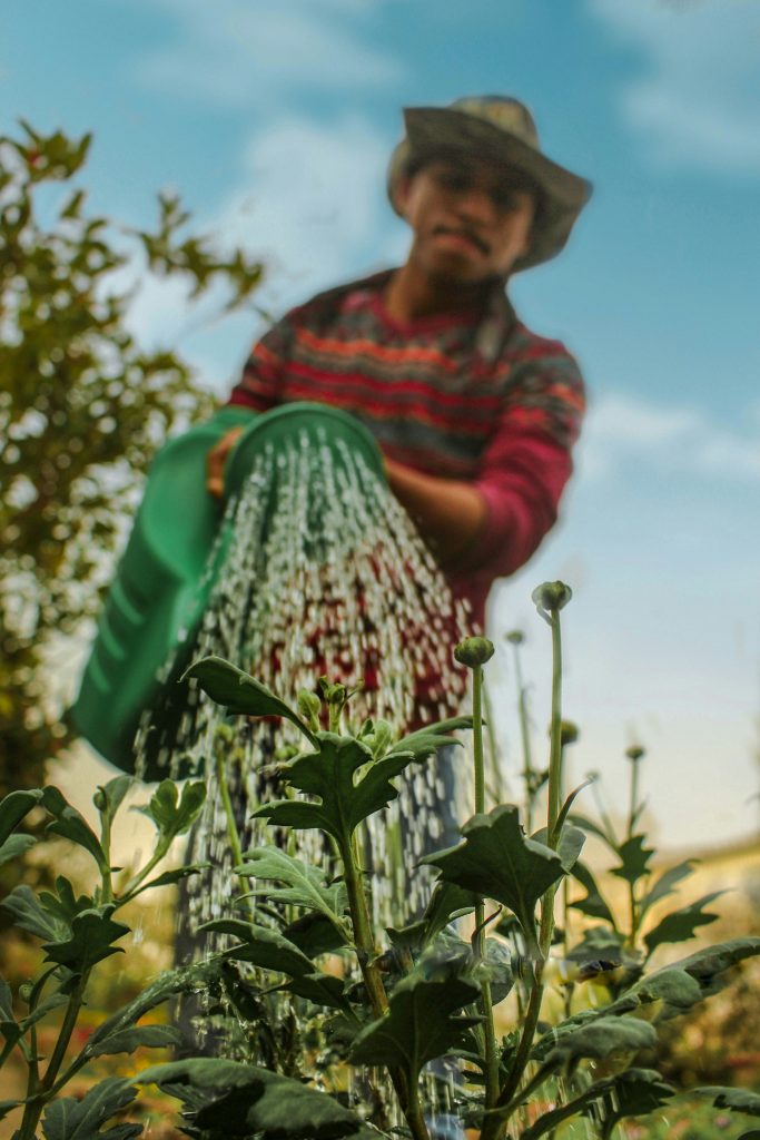 gardening