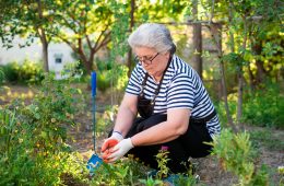 gardening